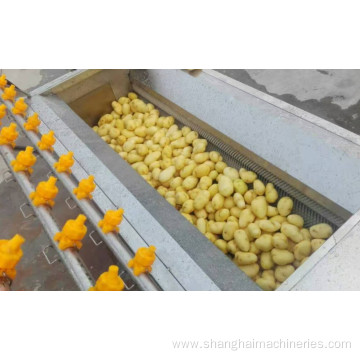 Automatic Small Capacity Cassava Peeling Machine